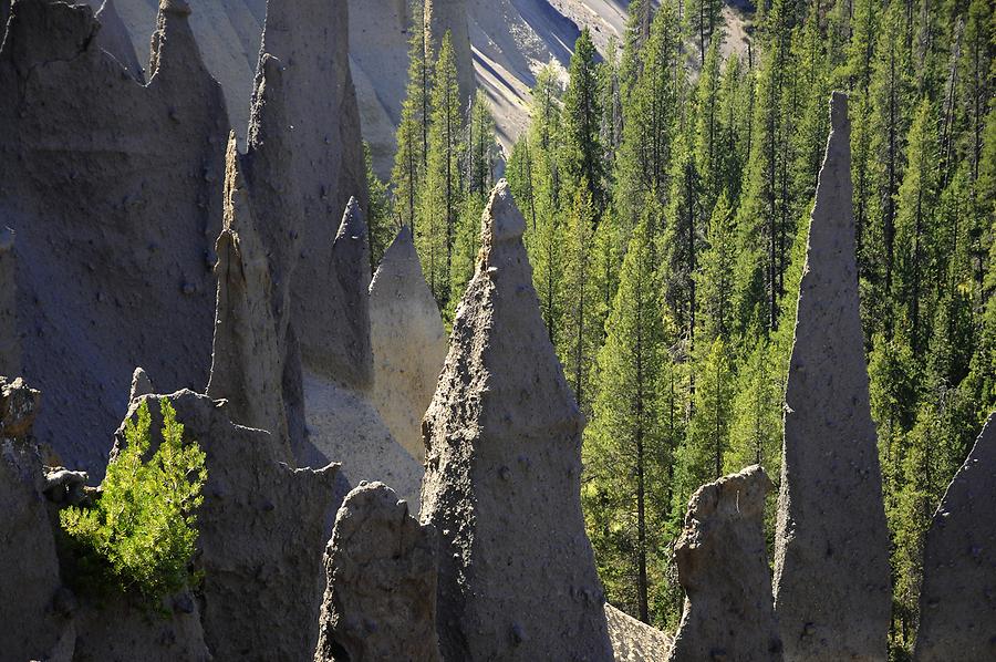 Crater Lake National Park - The Pinnacles