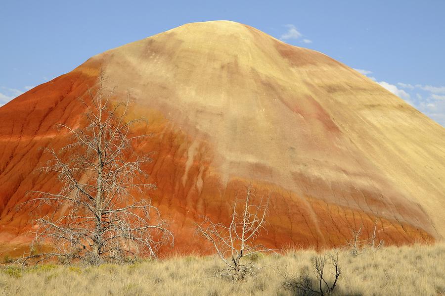 John Day Fossil Beds National Monument - Painted Hills Unit