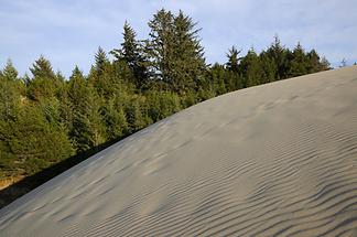 Oregon Dunes National Recreation Area (2)