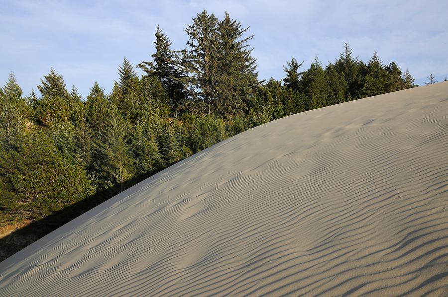 Oregon Dunes National Recreation Area