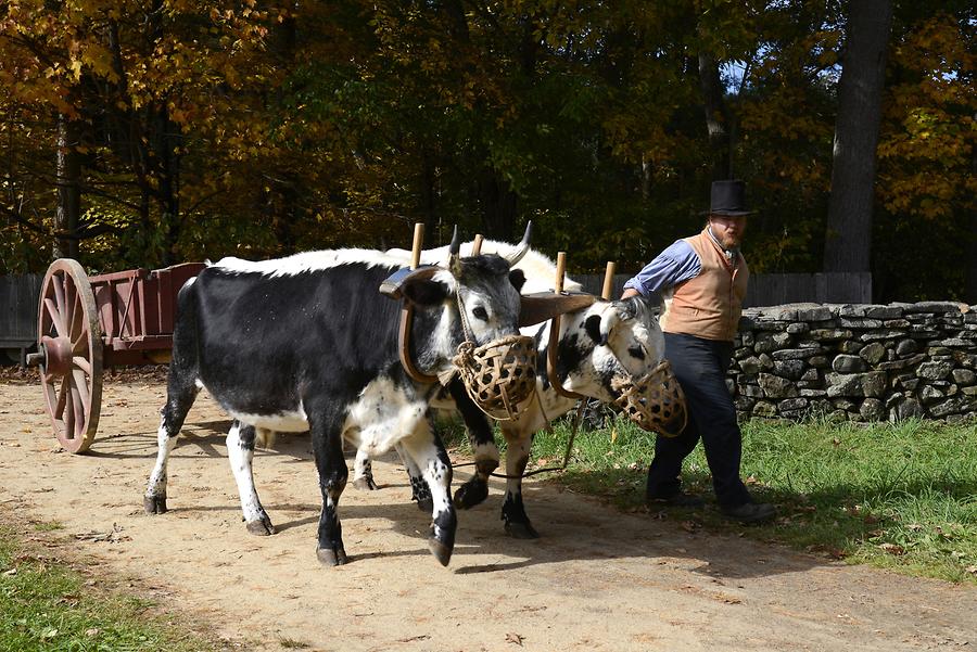 Old Sturbridge Village - 'Villager'