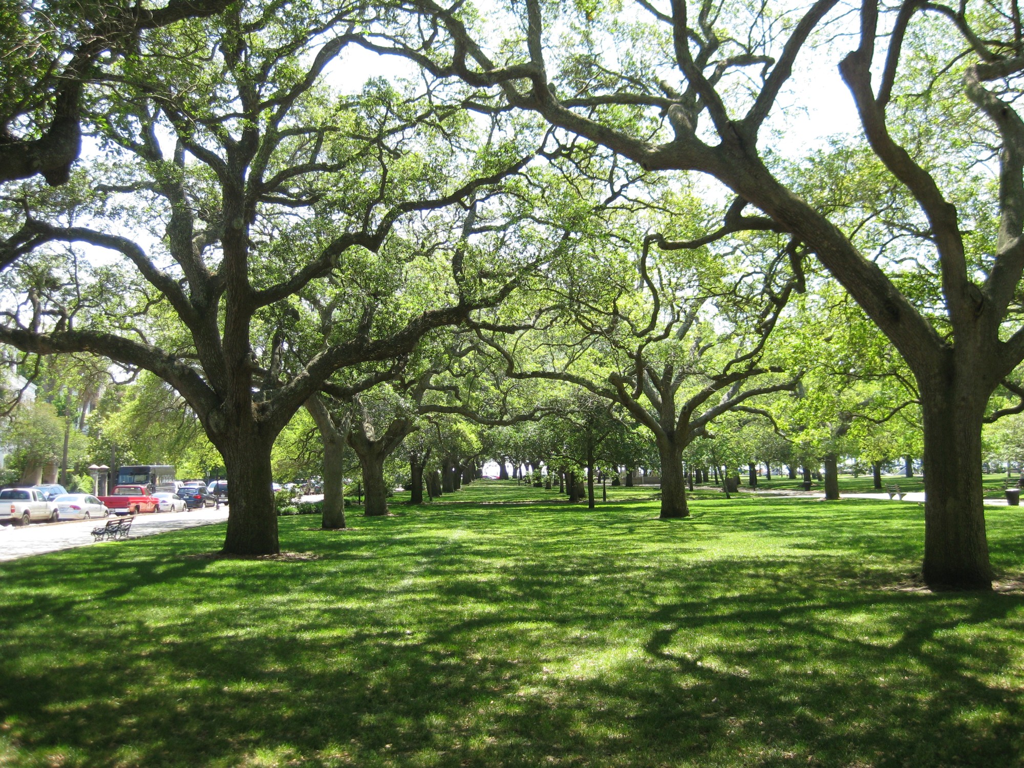 Charleston White Point Gardens 1 South Carolina Geography Im