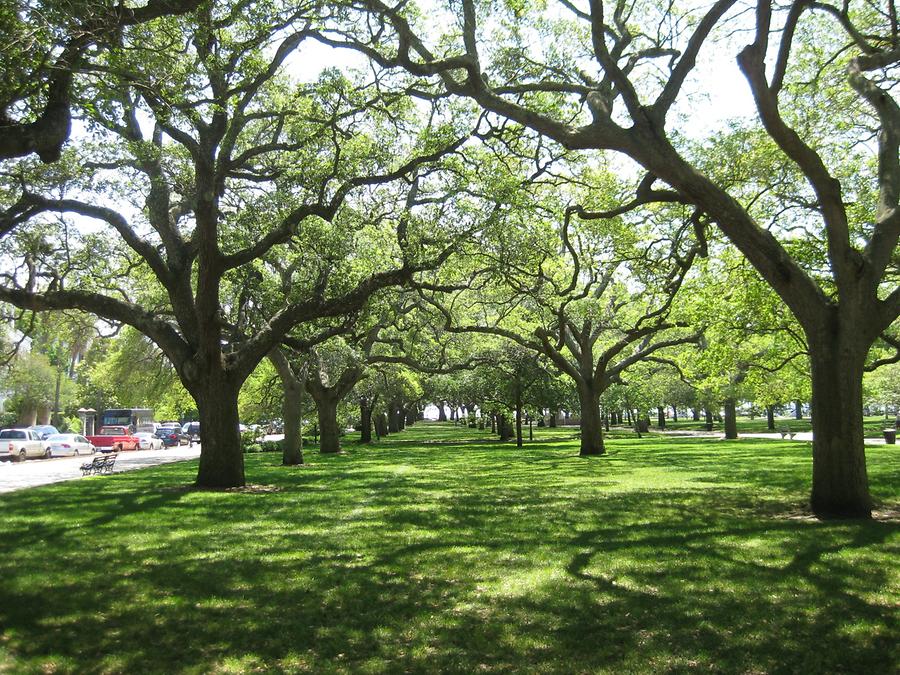 Charleston White Point Gardens