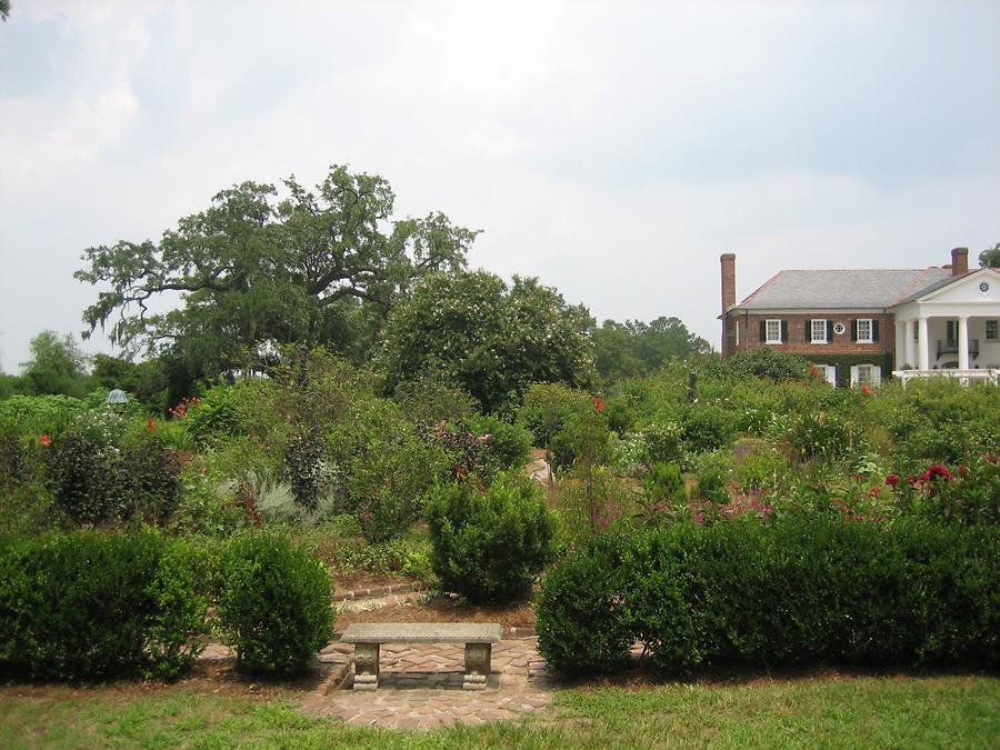 Mt. Pleasant Boone Hall Plantation