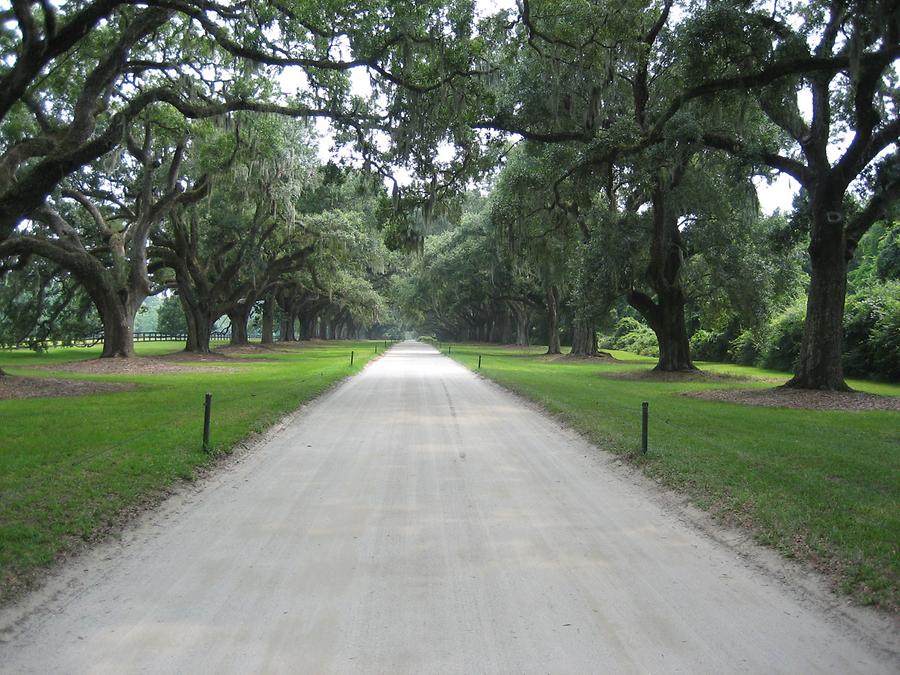 Mt. Pleasant Boone Hall Plantation