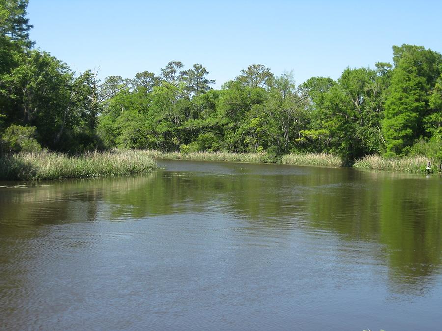 Pawleys Island Brookgreen Gardens