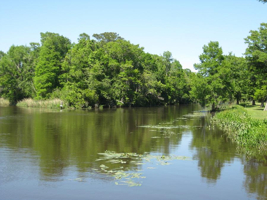 Pawleys Island Brookgreen Gardens