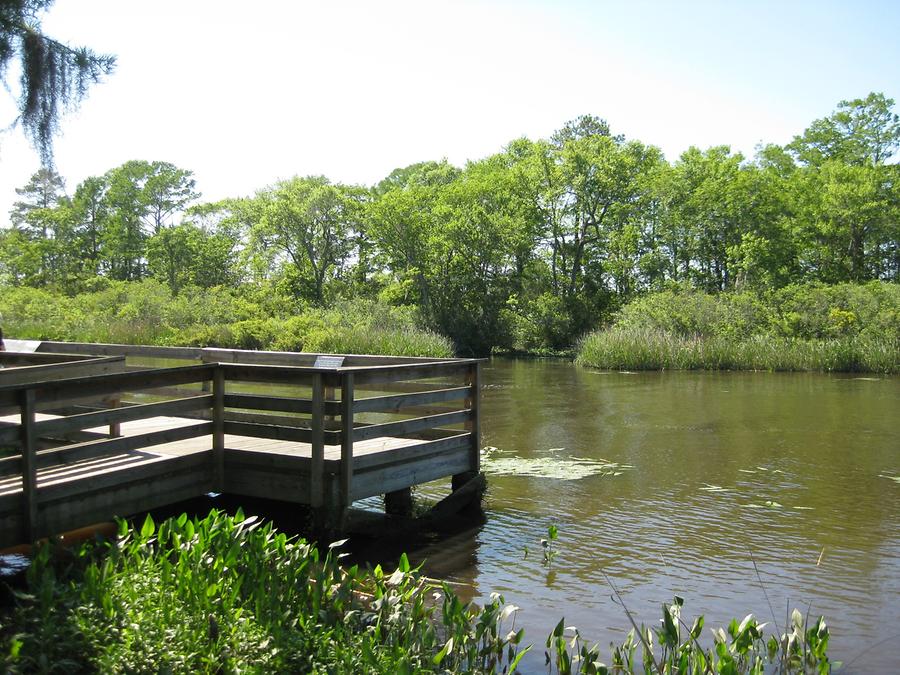 Pawleys Island Brookgreen Gardens