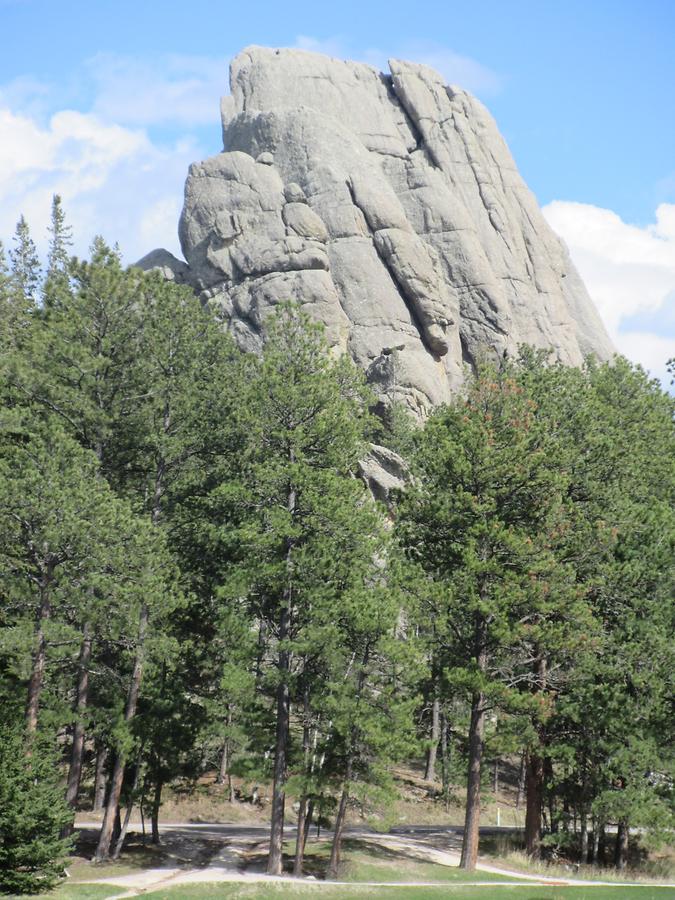 Custer State Park