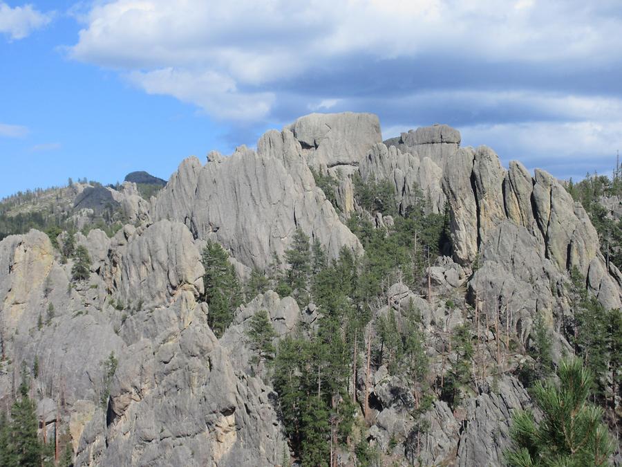 Custer State Park