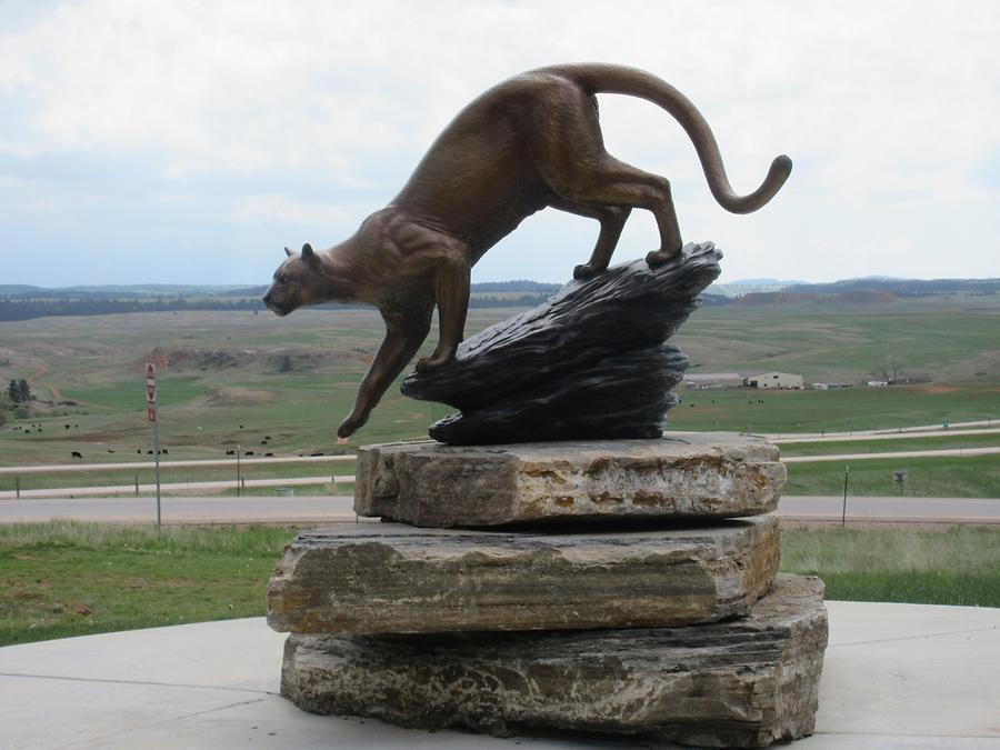 Deadwood - 'Tatanka - Story of the Bison' - Cougar