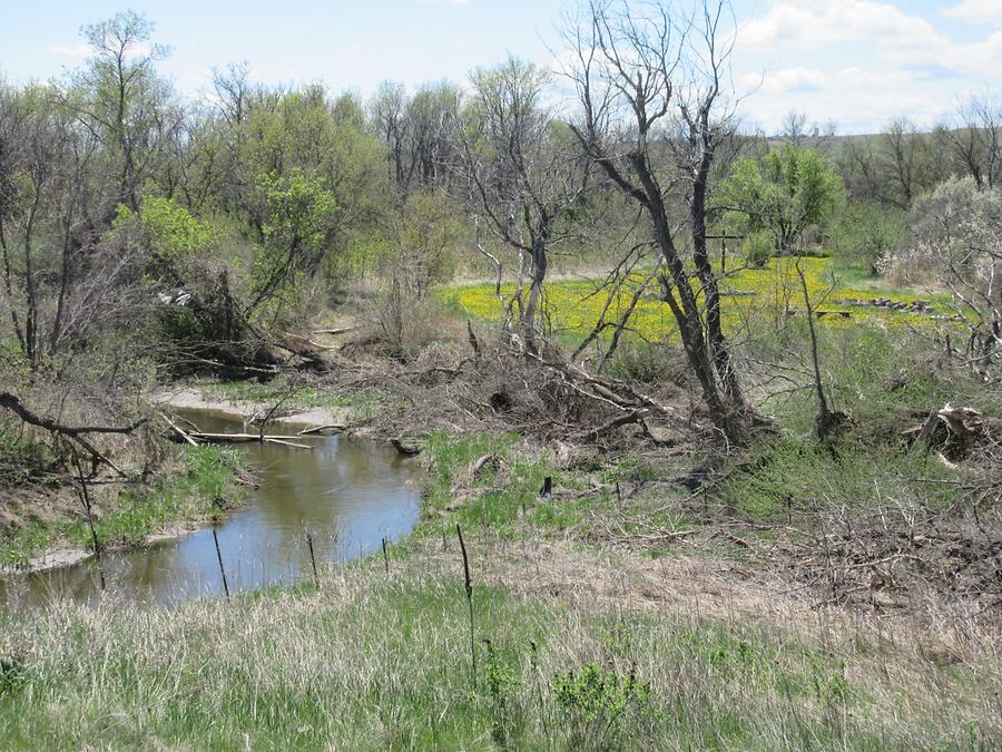 Wounded Knee - 'Begrabt mein Herz an der Biegung des Flusses'