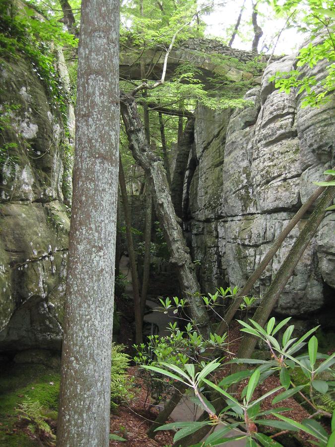 Chattanooga Lookout Mountain Rock City