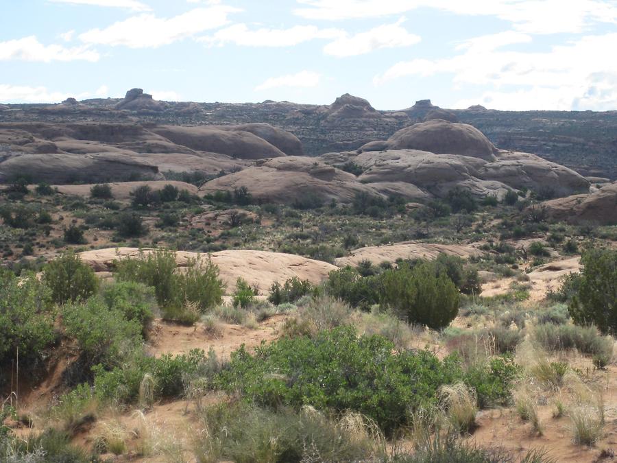 Arches National Park