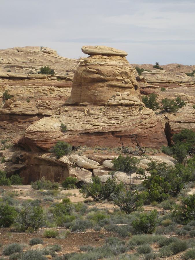 Canyonlands National Park Needles