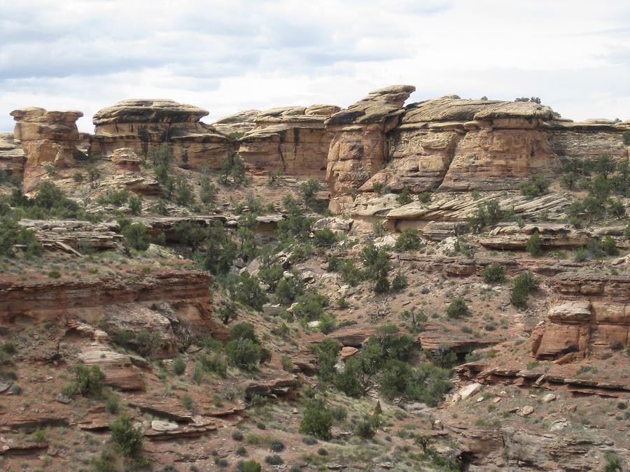 Canyonlands National Park Needles