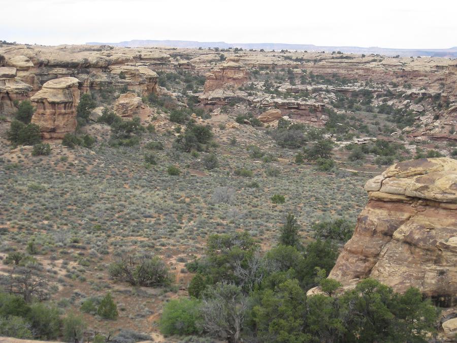 Canyonlands National Park Needles