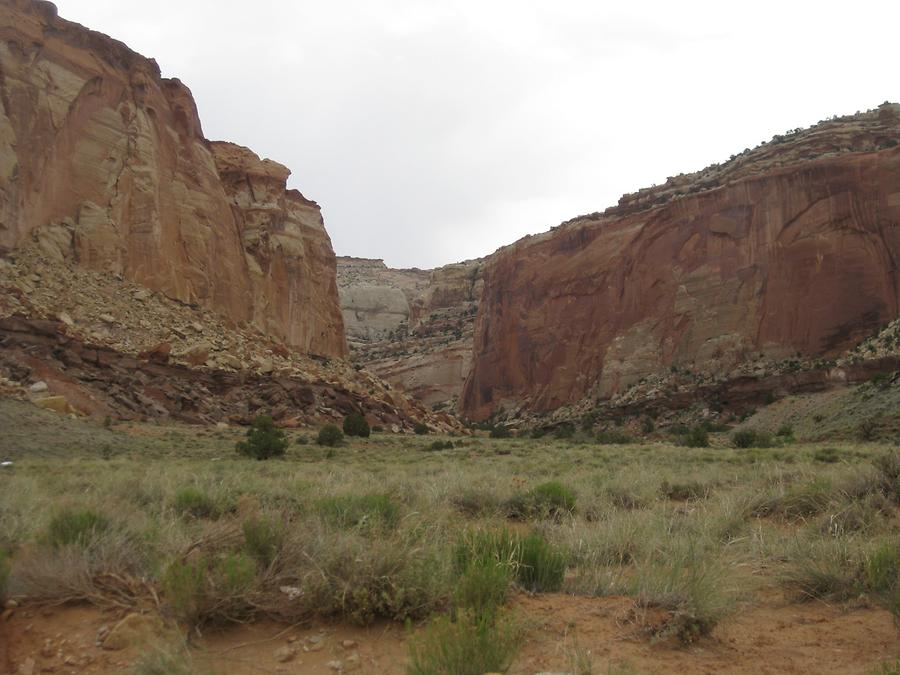 Capitol Reef National Park