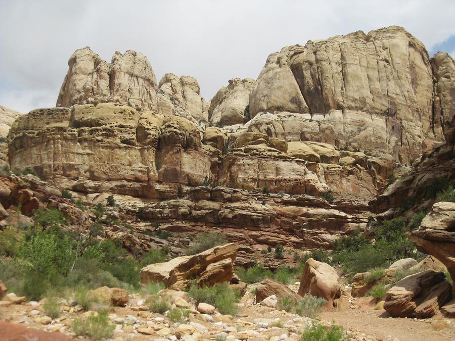 Capitol Reef National Park