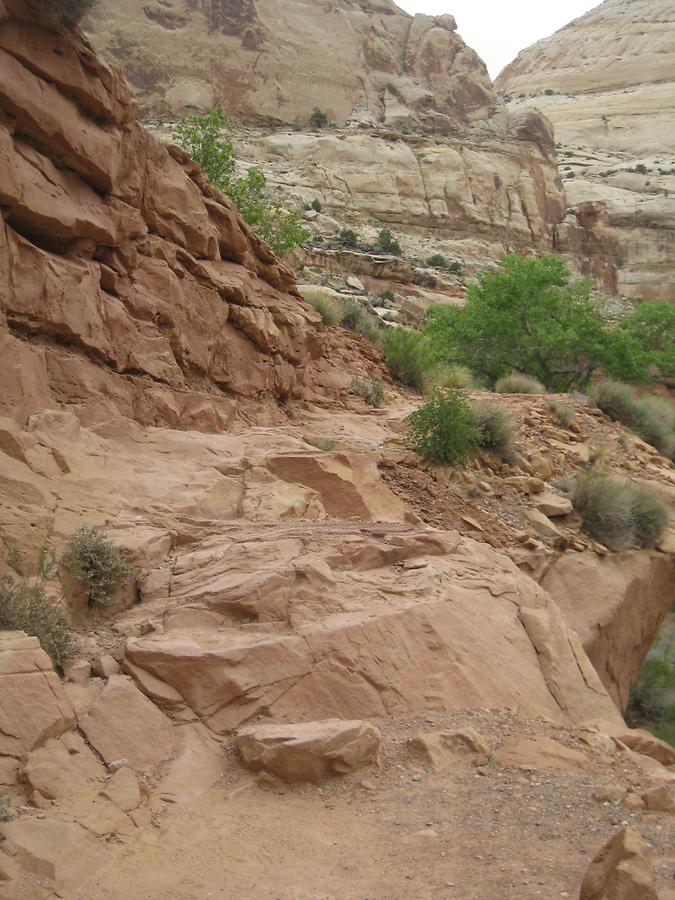 Capitol Reef National Park