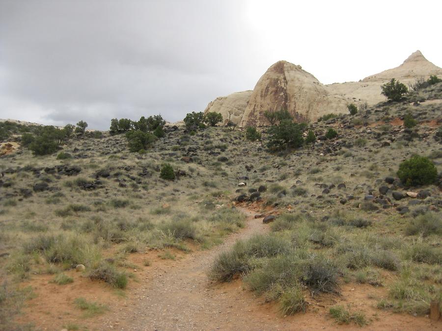 Capitol Reef National Park