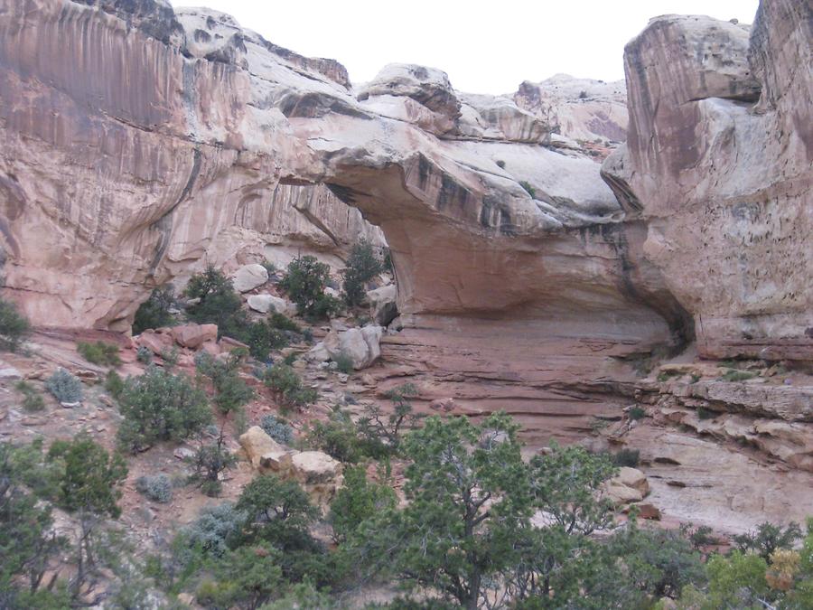 Capitol Reef National Park