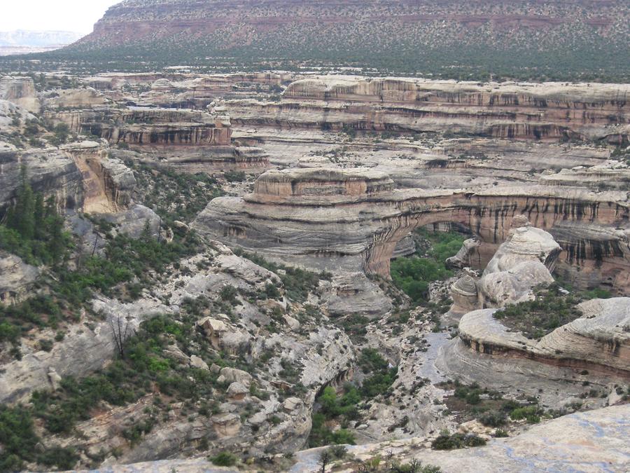 Natural Bridges National Monumnet