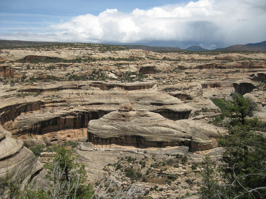 Natural Bridges National Monumnet