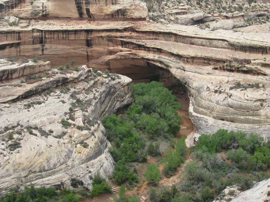 Natural Bridges National Monumnet