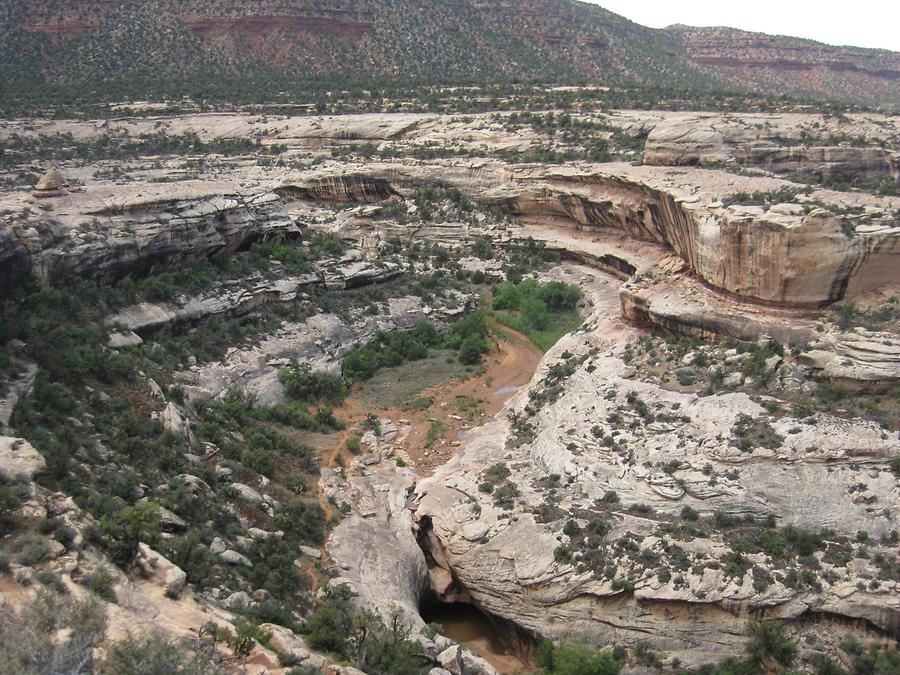 Natural Bridges National Monumnet