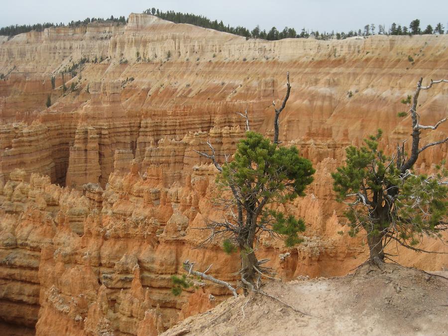 Bryce Canyon National Park