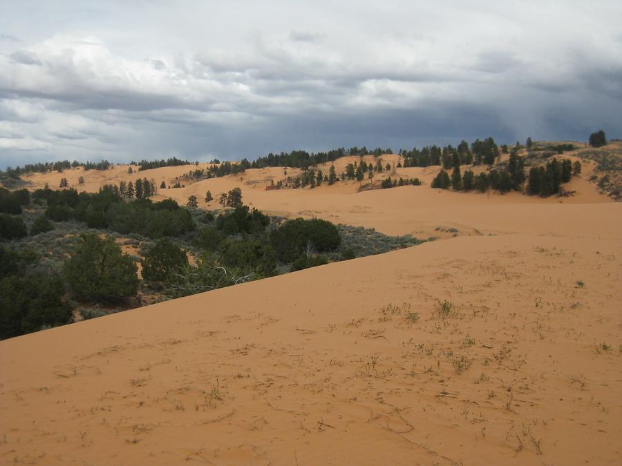 Coral Pink Sand Dunes State Park