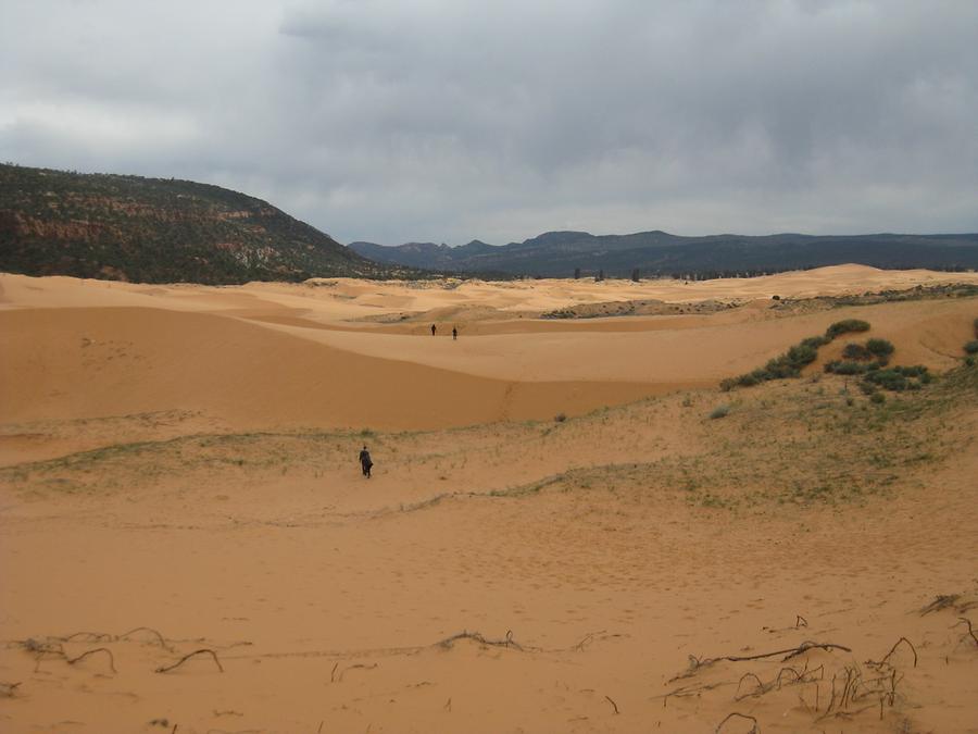 Coral Pink Sand Dunes State Park