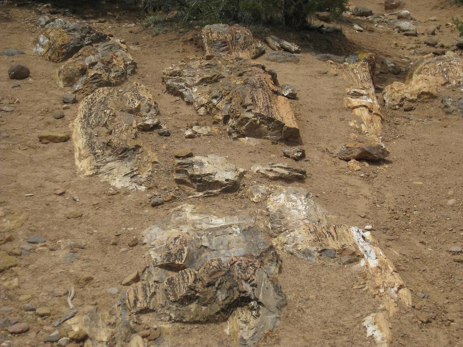 Escalante Petrified Forest State Park