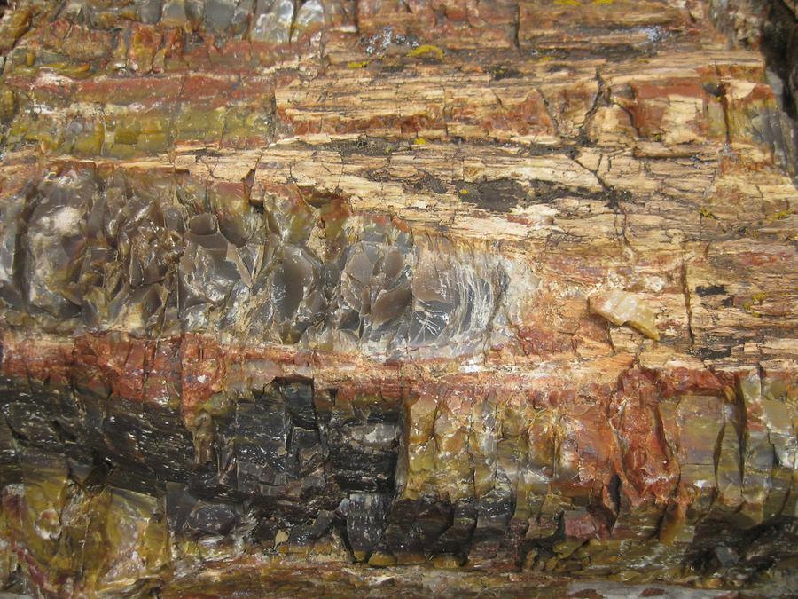 Escalante Petrified Forest State Park