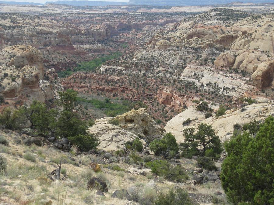 Grand Staircase-Escalante National Monumnet Burr Trail Road