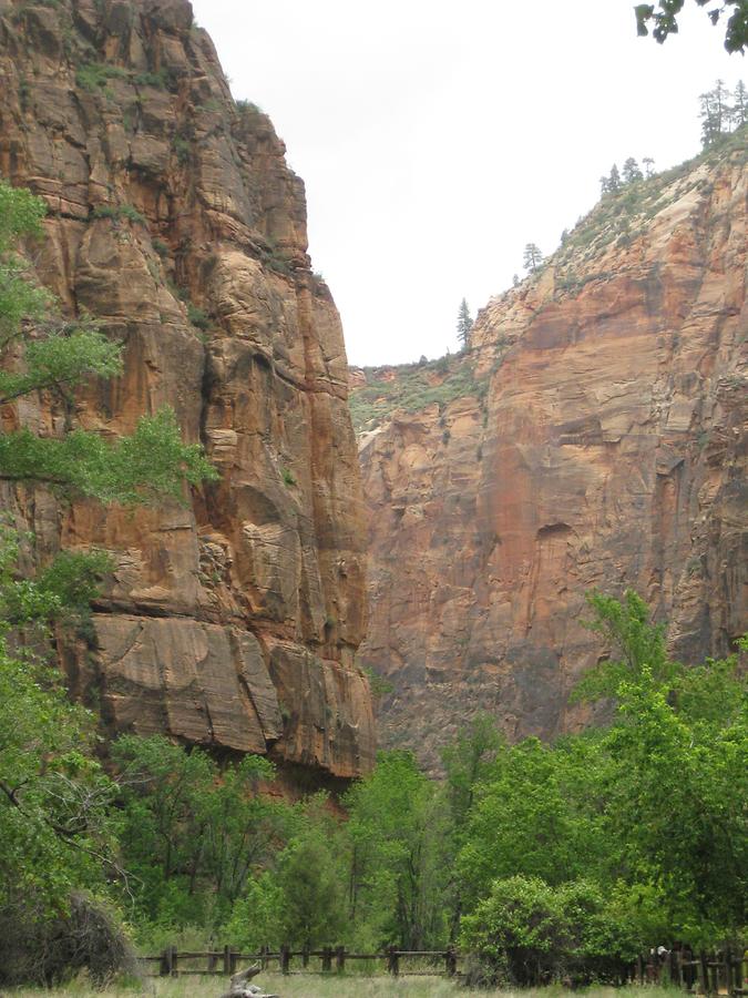 Zion National Park