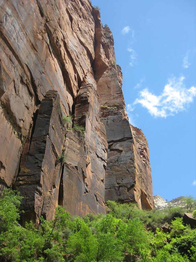 Zion National Park