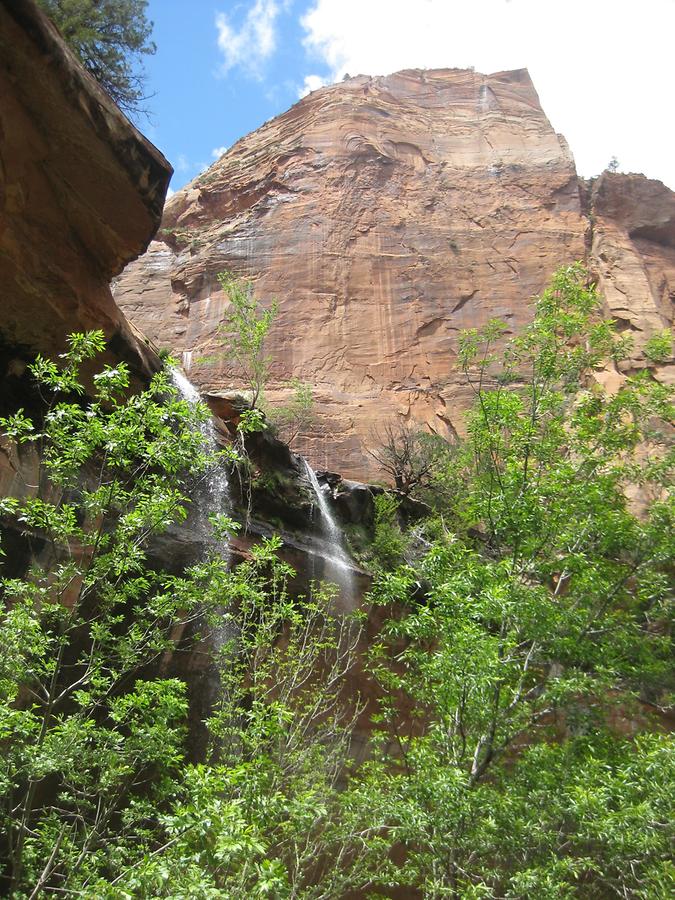 Zion National Park