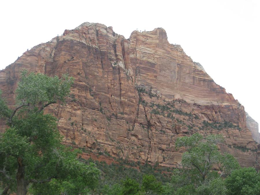 Zion National Park