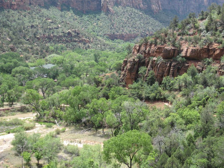 Zion National Park