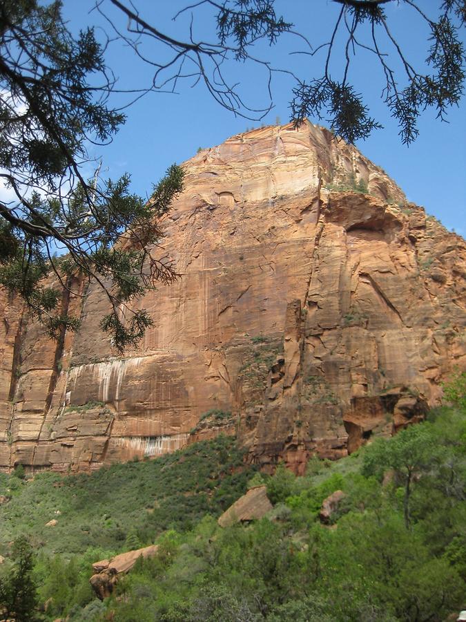 Zion National Park