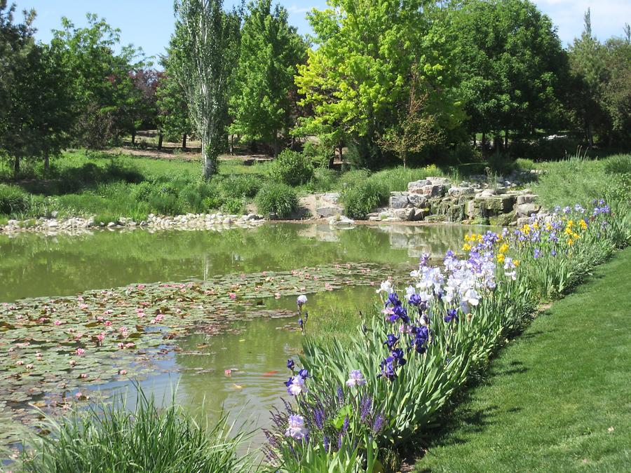 Lehi - Ashton Gardens