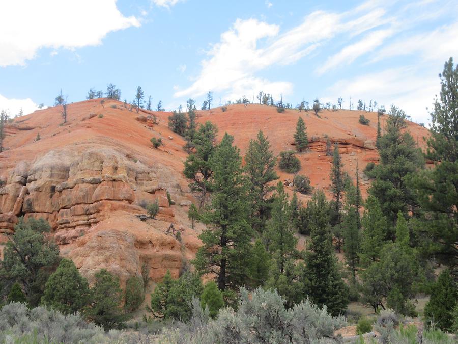 UT12 Scenic Byway - Red Canyon