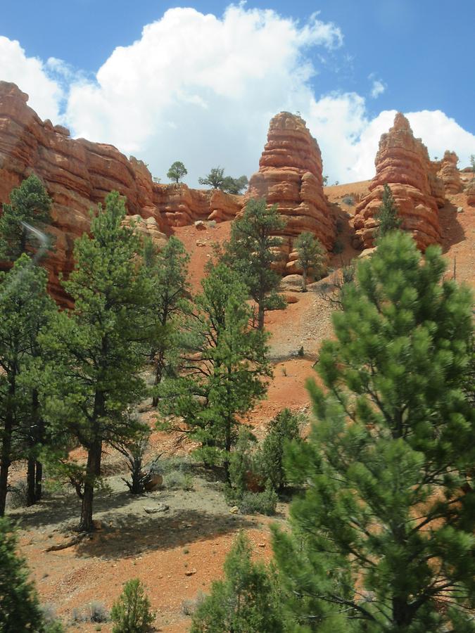 UT12 Scenic Byway - Red Canyon