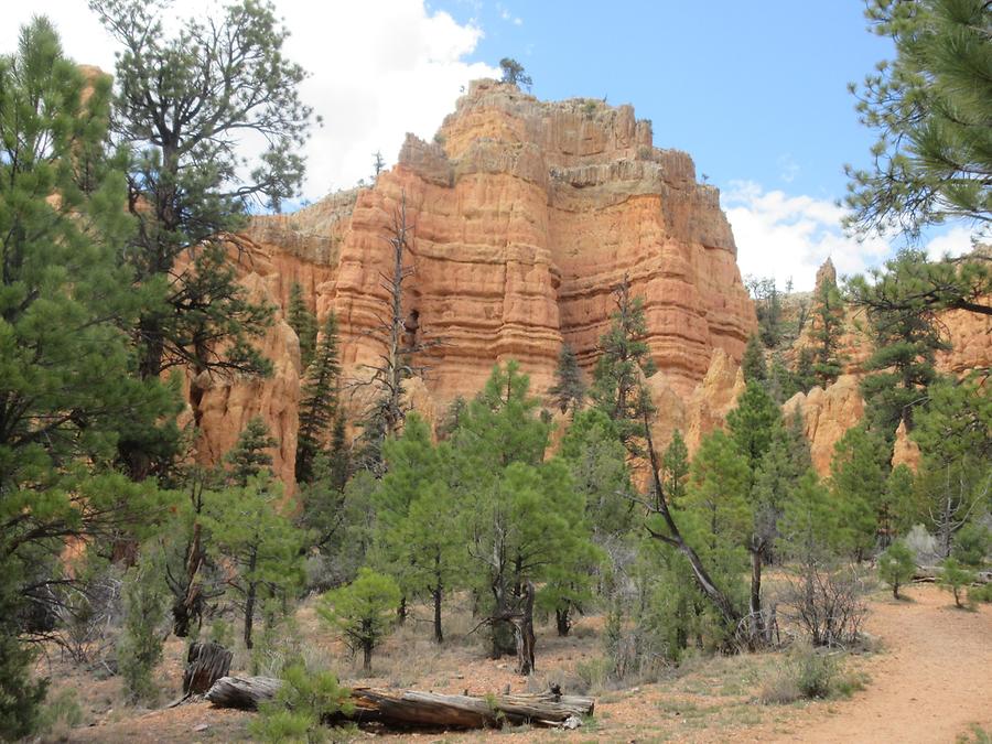 UT12 Scenic Byway - Red Canyon