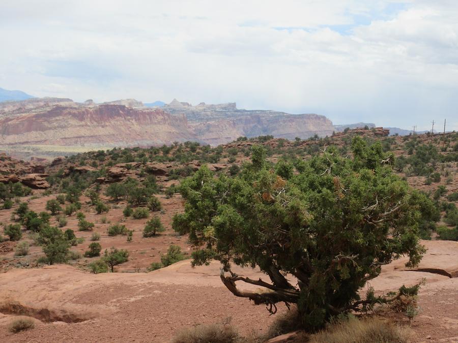 UT24 Capitol Reef Scenic Byway