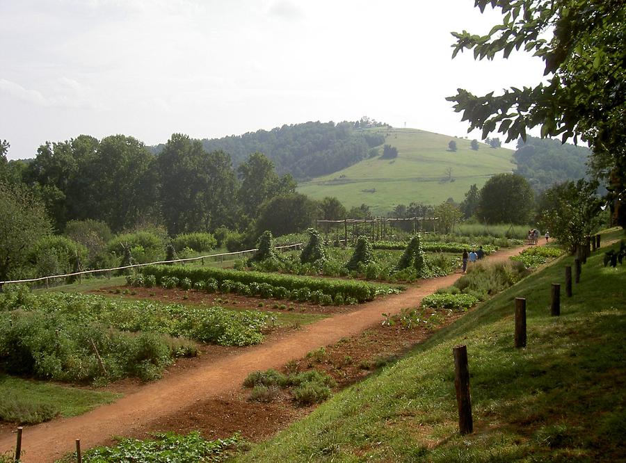 vegetable and garden beds