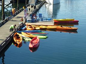 Harbour of Olympia