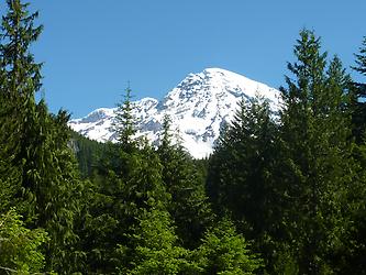 Wanderung im Mount Rainier Park